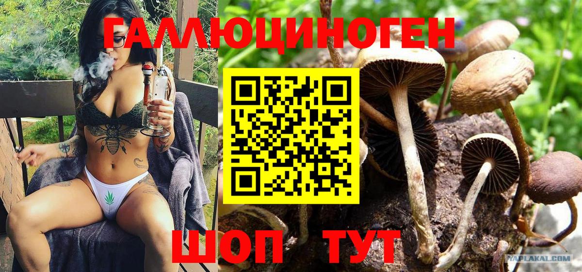 Карталы  Галлюциногенные грибы прущие грибы  Вход с VPN  Галлюциногенные грибы мухоморы 